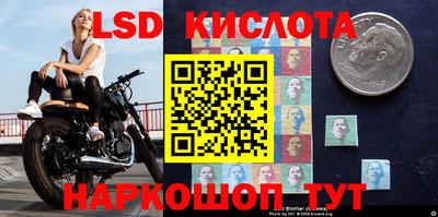 МДПВ Брянск