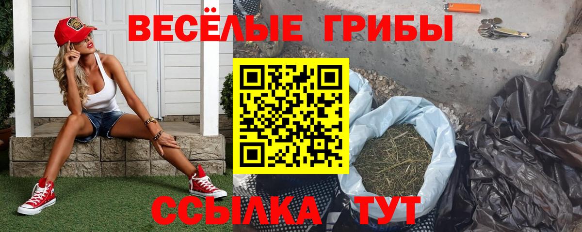 Галлюциногенные грибы MAGIC MUSHROOMS Бахчисарай